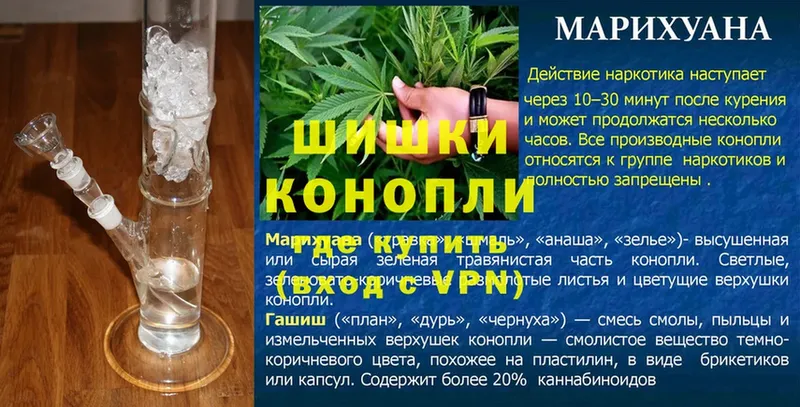 hydra как войти  Моздок  Бошки марихуана Ganja 